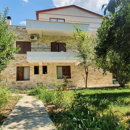 Xho'S Forest Guest House Berat Zewnętrze zdjęcie