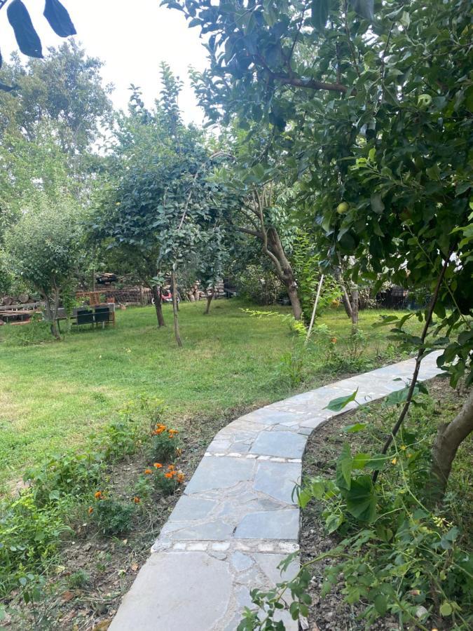 Xho'S Forest Guest House Berat Zewnętrze zdjęcie