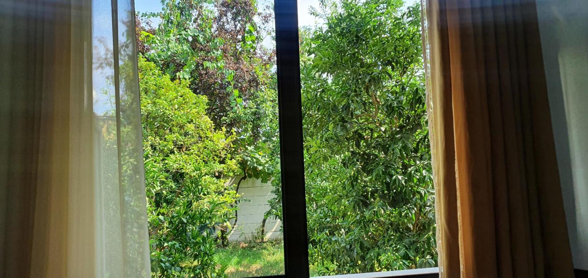 Xho'S Forest Guest House Berat Pokój zdjęcie